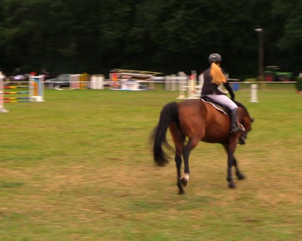 Reitturnier Wulkow 2019