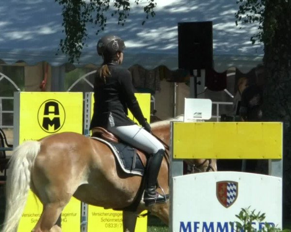 Reitturnier Memmingen/Schw. 2019