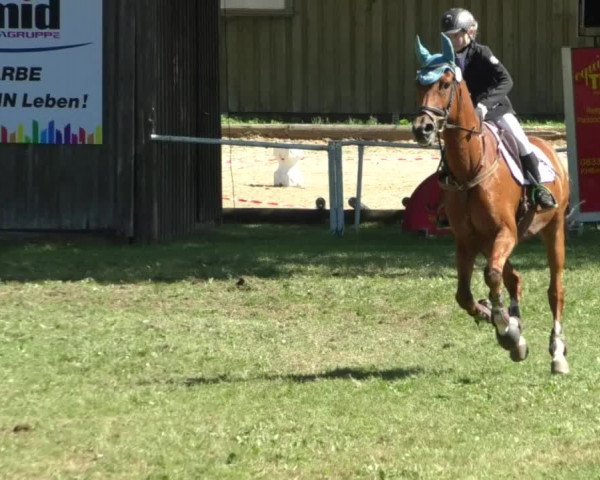 Reitturnier Memmingen/Schw. 2019