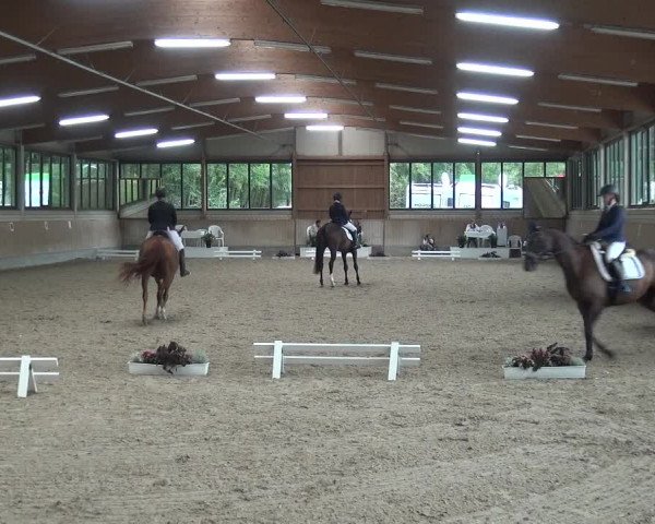 Reitturnier Bergisch Classics - Hebborner Hof 2019