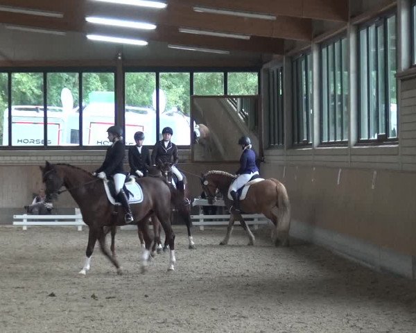 Reitturnier Bergisch Classics - Hebborner Hof 2019