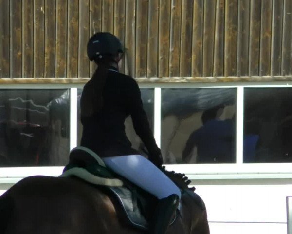 Reitturnier Memmingen/Schw. 2019