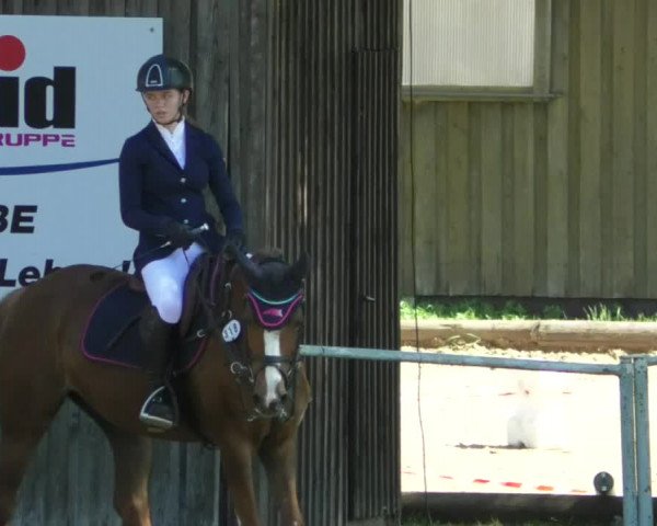 Reitturnier Memmingen/Schw. 2019