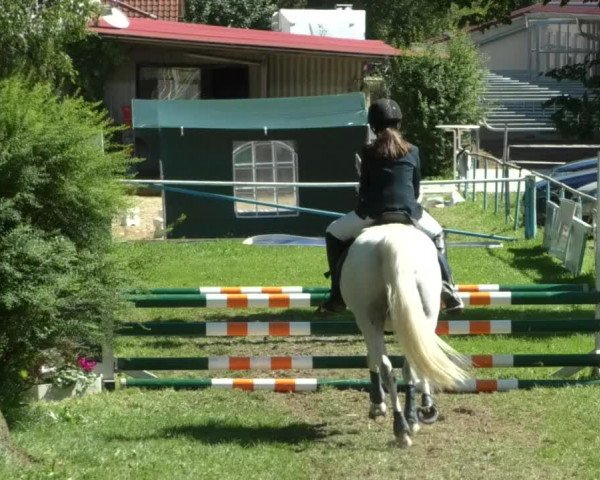 Reitturnier Memmingen/Schw. 2019
