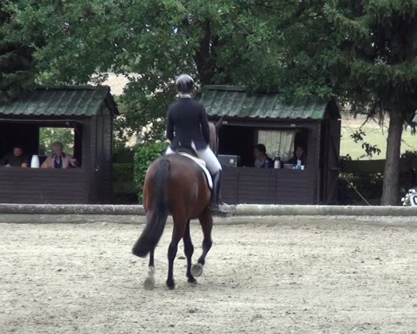 Reitturnier Datteln 2019