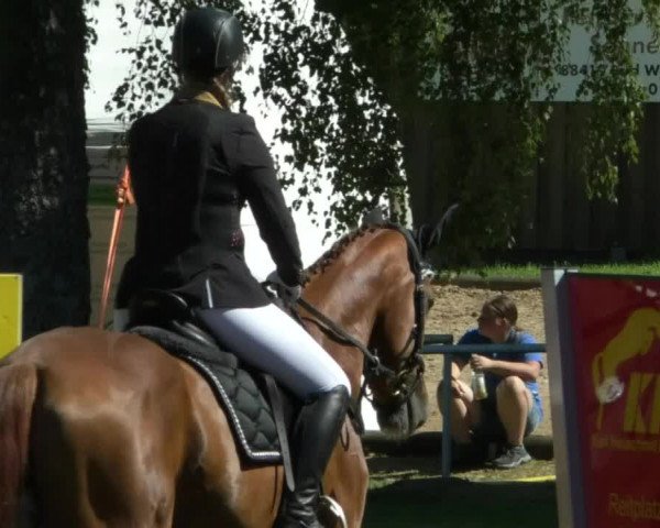 Reitturnier Memmingen/Schw. 2019