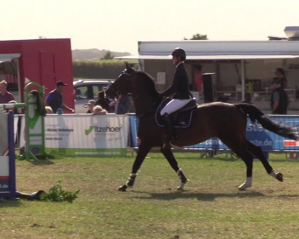 Reitturnier Behrendorf 2019