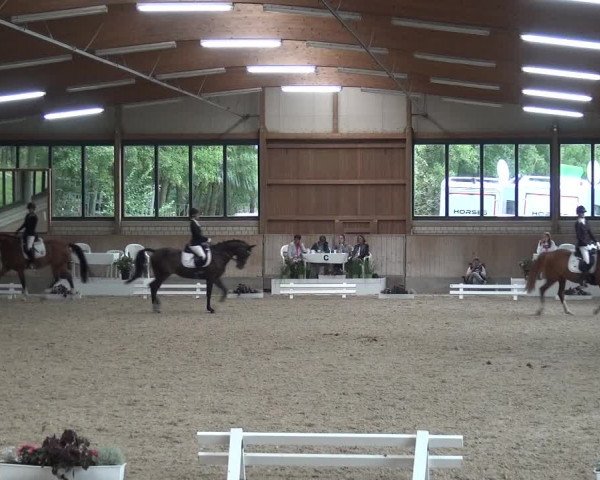 Reitturnier Bergisch Classics - Hebborner Hof 2019