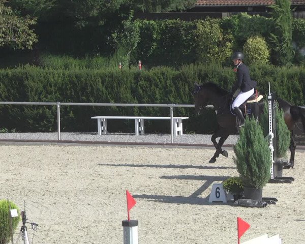 Reitturnier Durmersheim-Hardt 2019