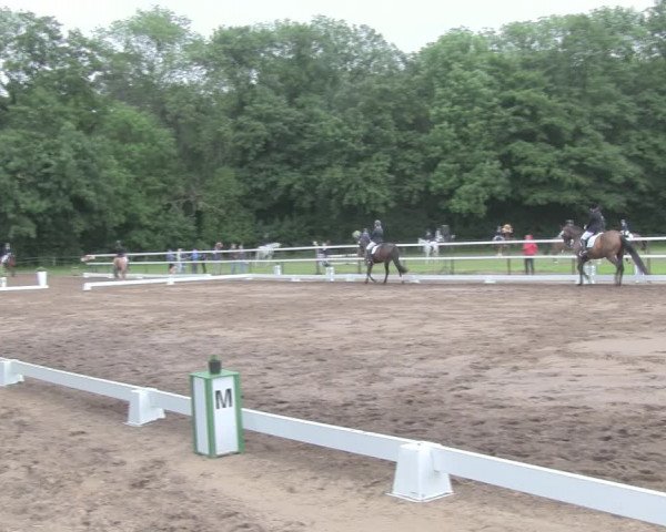 Reitturnier Wulkow 2019