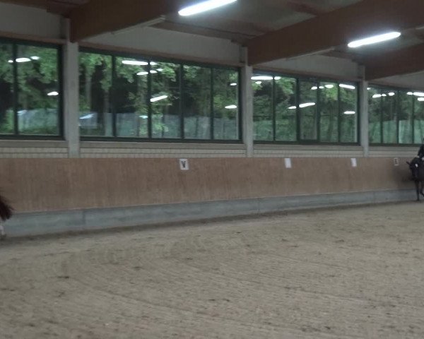 Reitturnier Bergisch Classics - Hebborner Hof 2019