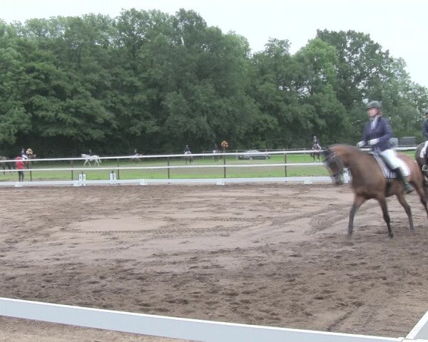Reitturnier Wulkow 2019