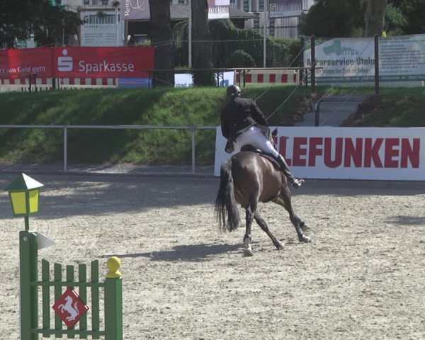 Reitturnier Durmersheim-Hardt 2019
