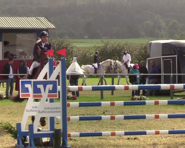 Reitturnier Behrendorf 2019