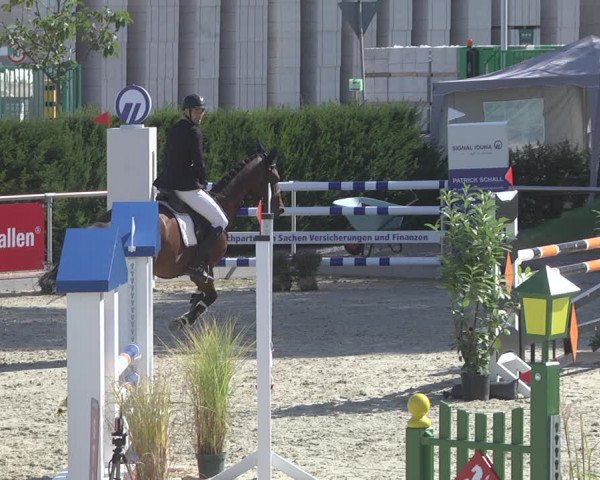 Reitturnier Durmersheim-Hardt 2019