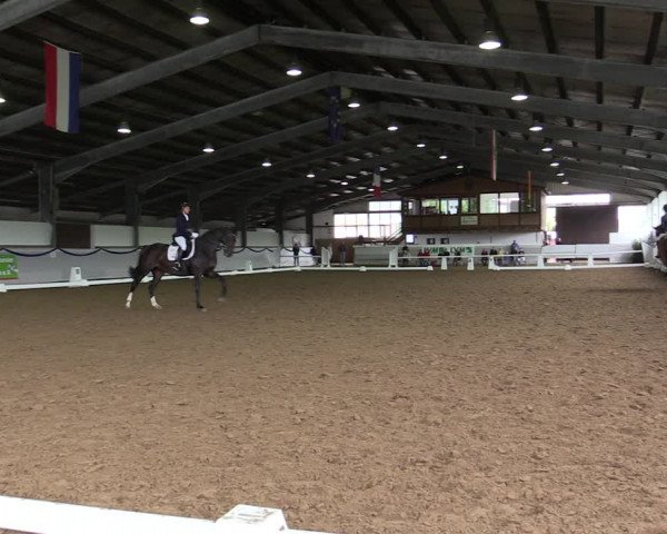 Reitturnier Münster-Albachten 2019