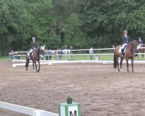 Reitturnier Wulkow 2019