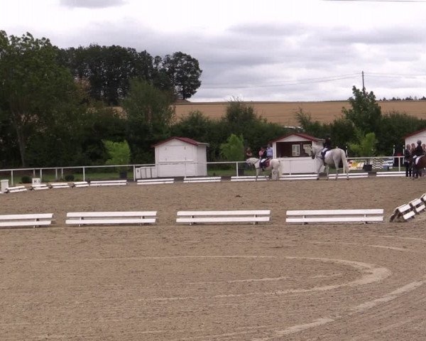 Reitturnier Menden 2019