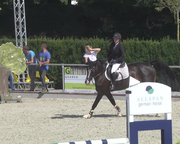 Reitturnier Durmersheim-Hardt 2019