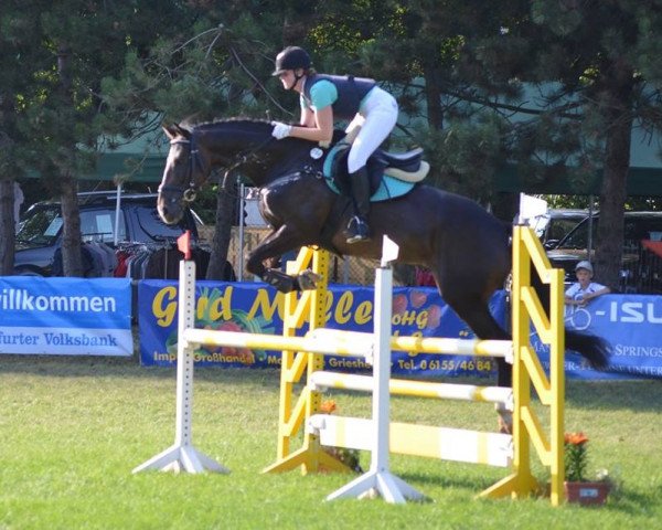 jumper Hot Whisky 2 (Irish Sport Horse, 2006, from Royal Persian xx)