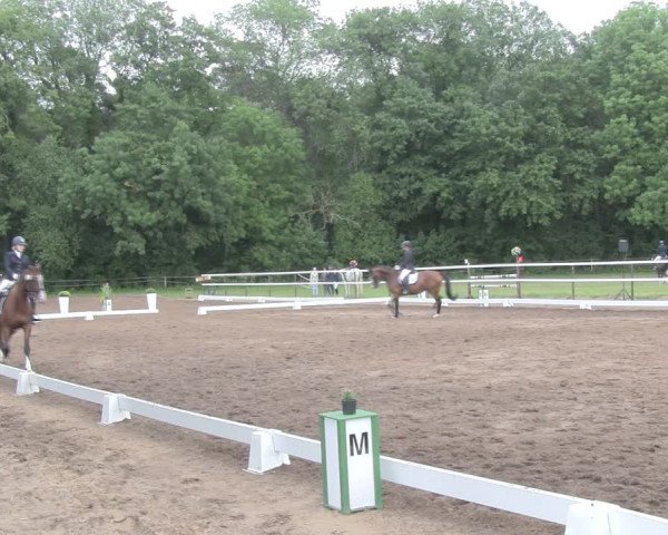 Reitturnier Wulkow 2019