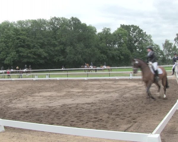 Reitturnier Wulkow 2019