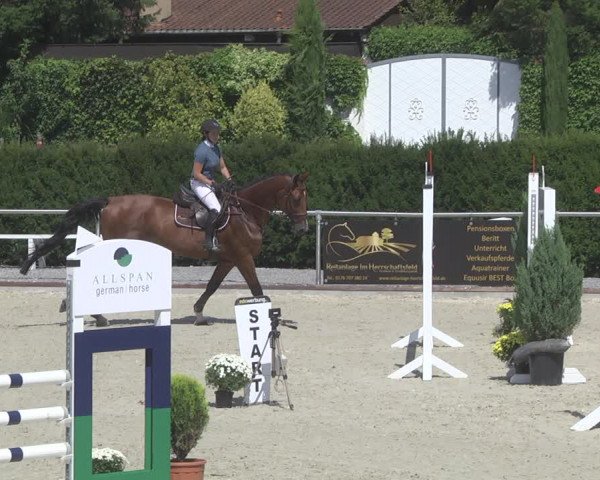 Reitturnier Durmersheim-Hardt 2019