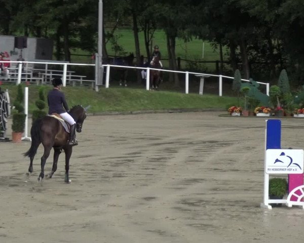 Reitturnier Bergisch Classics - Hebborner Hof 2019