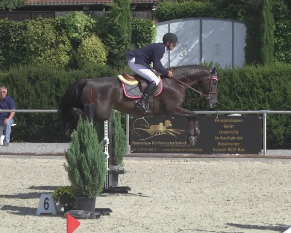 Reitturnier Durmersheim-Hardt 2019