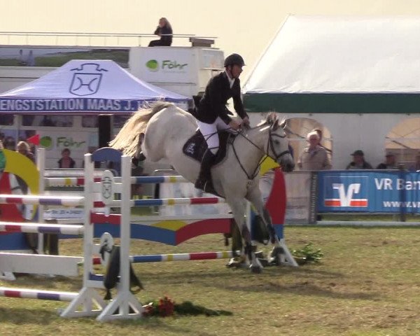 Reitturnier Behrendorf 2019
