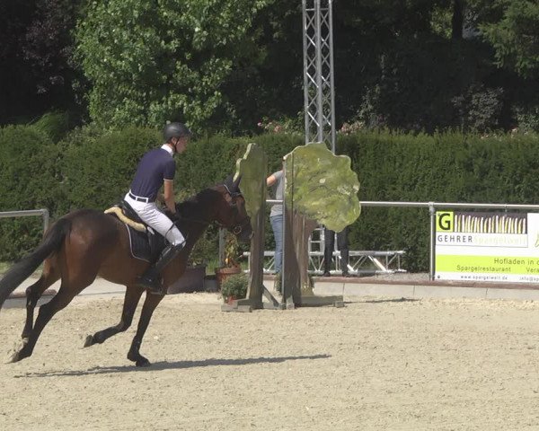 Reitturnier Durmersheim-Hardt 2019