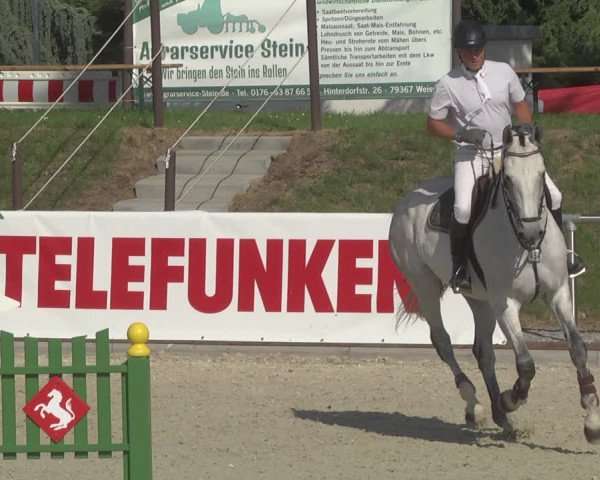Reitturnier Durmersheim-Hardt 2019