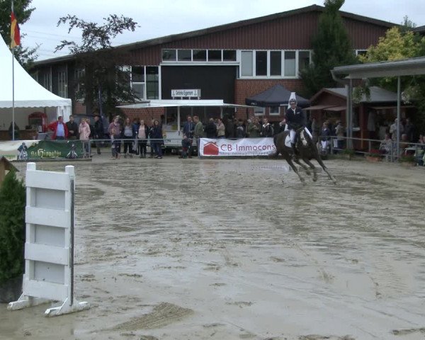Reitturnier Münster-Albachten 2019