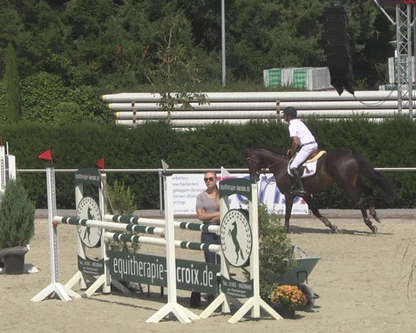 Reitturnier Durmersheim-Hardt 2019