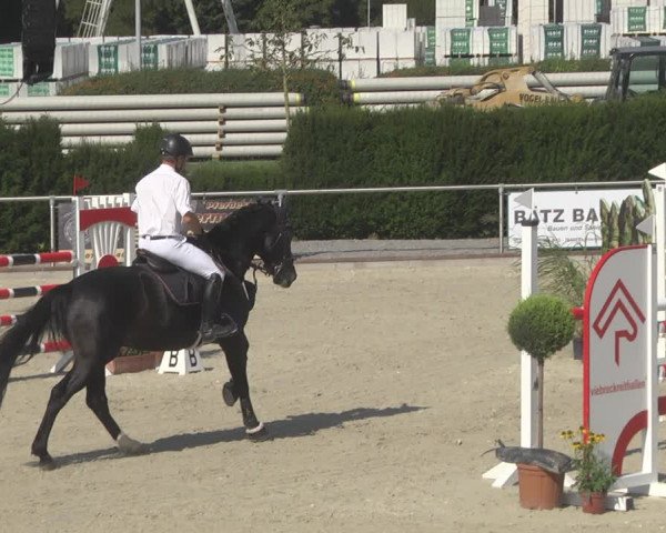 Reitturnier Durmersheim-Hardt 2019