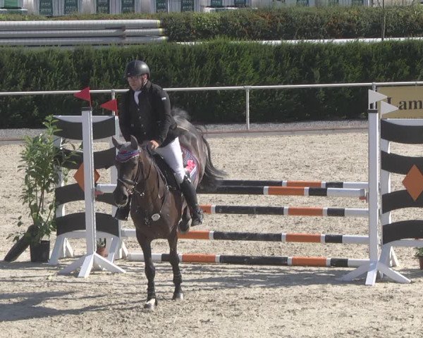 Reitturnier Durmersheim-Hardt 2019