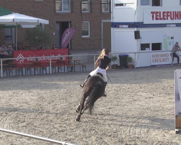 Reitturnier Durmersheim-Hardt 2019