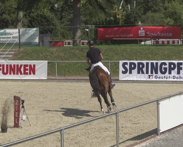 Reitturnier Durmersheim-Hardt 2019
