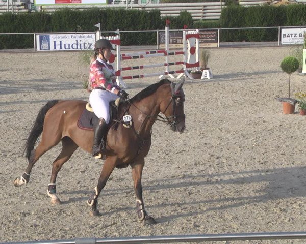 Reitturnier Durmersheim-Hardt 2019