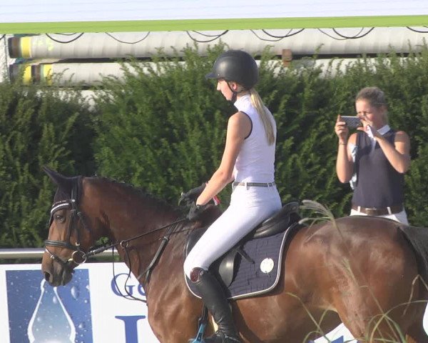 Reitturnier Durmersheim-Hardt 2019