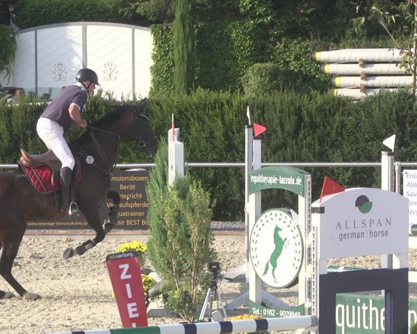 Reitturnier Durmersheim-Hardt 2019