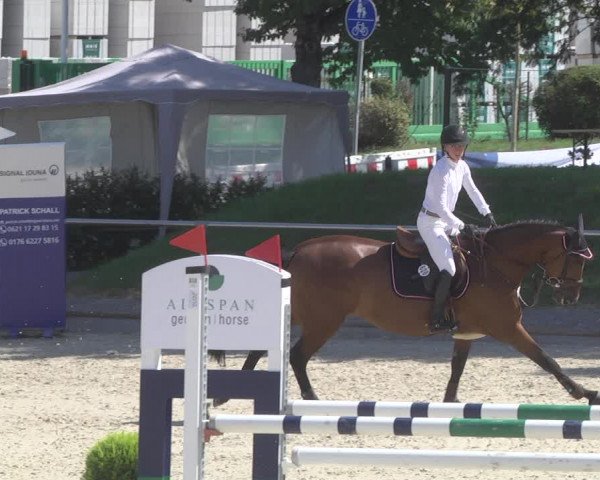 Reitturnier Durmersheim-Hardt 2019