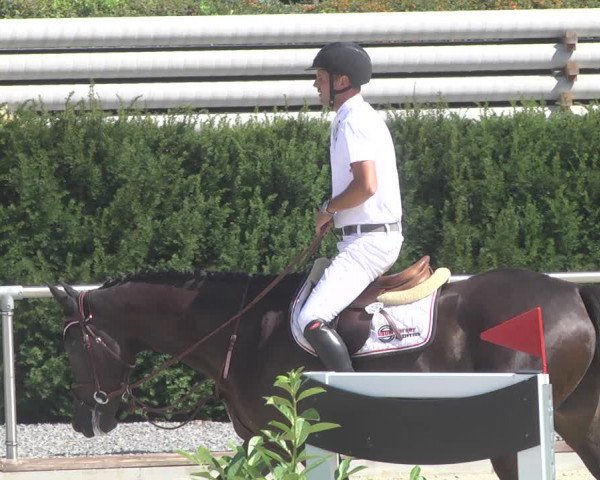 Reitturnier Durmersheim-Hardt 2019