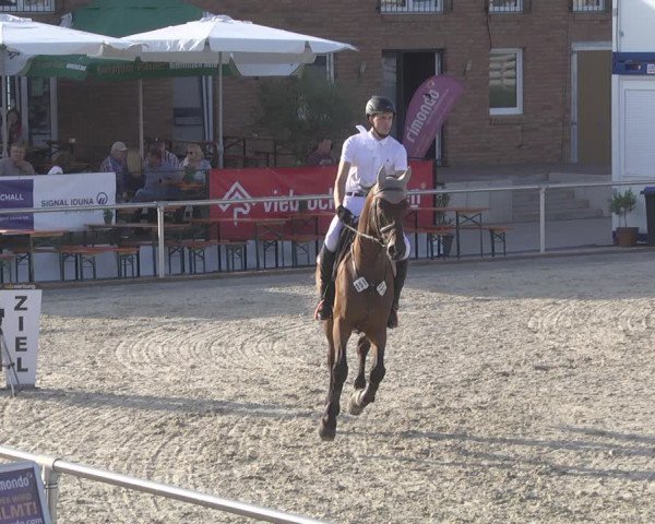 Reitturnier Durmersheim-Hardt 2019