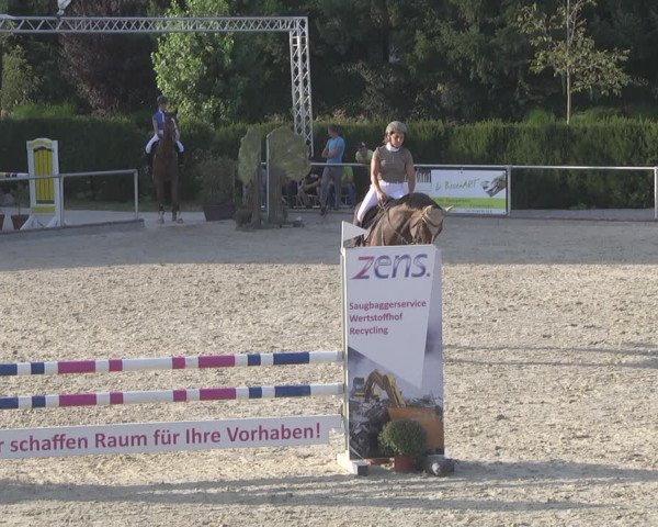 Reitturnier Durmersheim-Hardt 2019