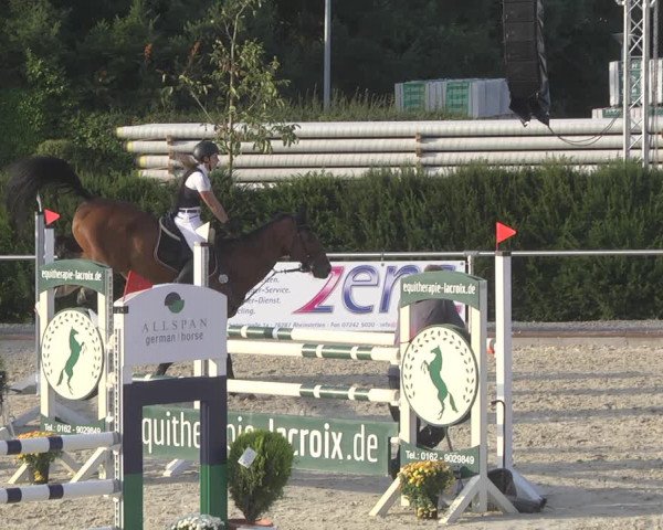 Reitturnier Durmersheim-Hardt 2019