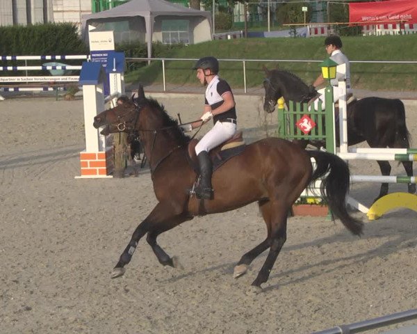 Reitturnier Durmersheim-Hardt 2019