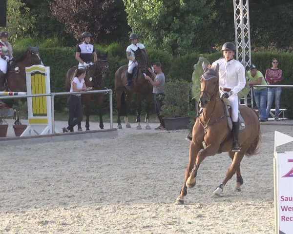 Reitturnier Durmersheim-Hardt 2019