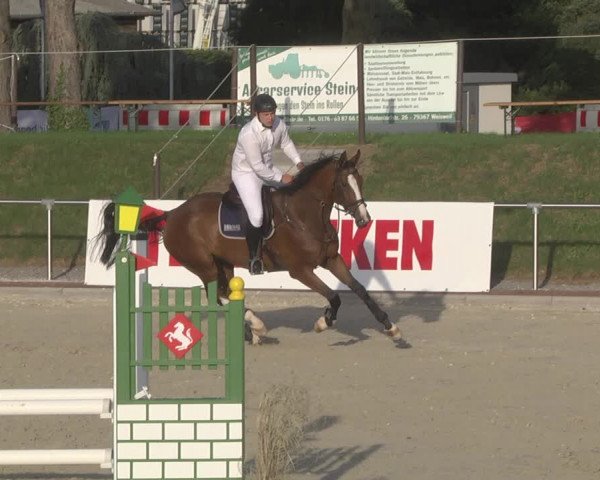Reitturnier Durmersheim-Hardt 2019