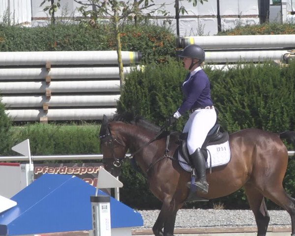 Reitturnier Durmersheim-Hardt 2019